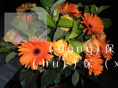 勞動(dòng)保險(xiǎn)與社會(huì)保險(xiǎn)的區(qū)別是什么？